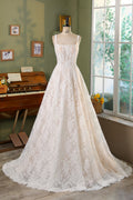 Allover Lace A-Line Gown with Sheer Corset Bodice and V Basque Waist MMF3080